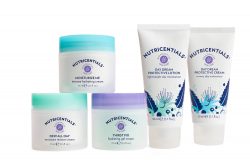 Dew All Day Moisture Restore Cream - Afbeelding 4